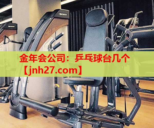 乒乓球台几个
