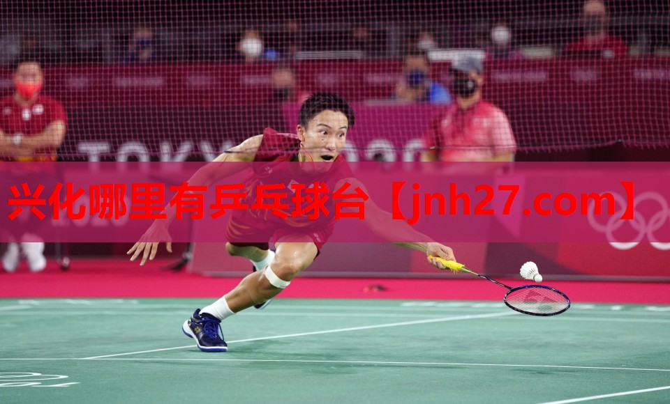 兴化哪里有乒乓球台